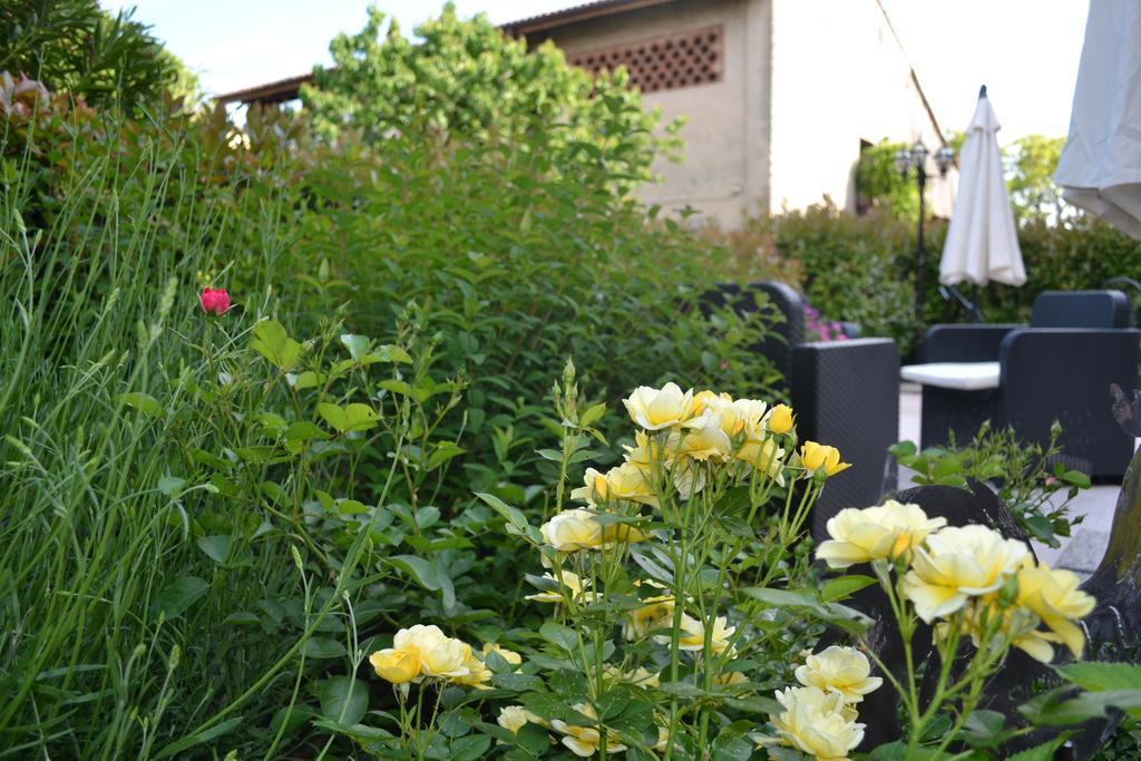 Residence Ca Di Capri บุสโซเลงโก ภายนอก รูปภาพ